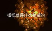 橄欖菜是什么菜做的