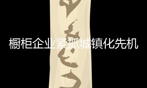 櫥柜企業緊抓城鎮化先機