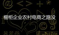 櫥柜企業(yè)農(nóng)村電商之路沒有想象中的風(fēng)光
