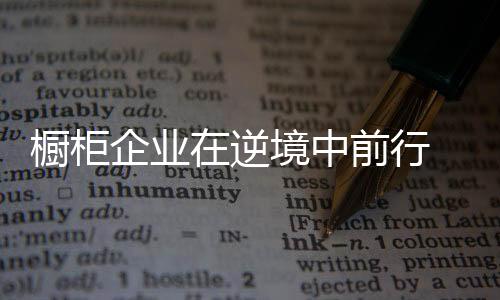 櫥柜企業在逆境中前行 要不斷提高自身“修為”