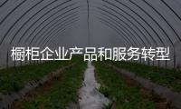 櫥柜企業(yè)產(chǎn)品和服務(wù)轉(zhuǎn)型刻不容緩