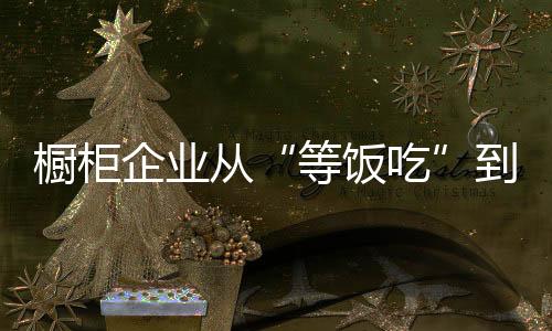 櫥柜企業從“等飯吃”到“做飯吃”