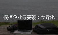 櫥柜企業尋突破：差異化和標準化的雙向把握