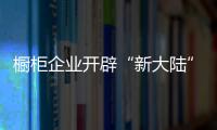 櫥柜企業開辟“新大陸” 還需多方下功夫