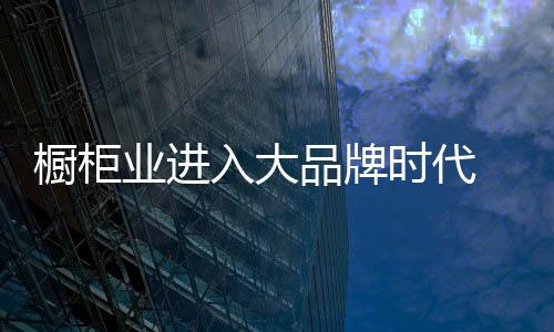櫥柜業進入大品牌時代 市場資源是決勝關鍵