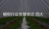 櫥柜行業發展變遷 四大變化預見未來趨勢