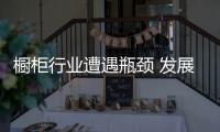 櫥柜行業遭遇瓶頸 發展互聯網已成必然