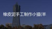 橡皮泥手工制作小貓(羊毛氈手工制作小貓)