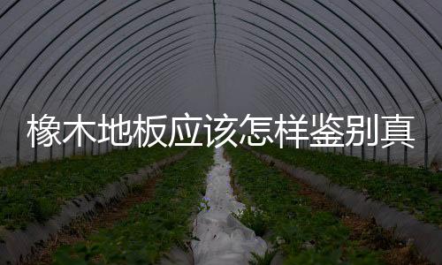 橡木地板應該怎樣鑒別真假