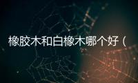 橡膠木和白橡木哪個好（橡膠木）