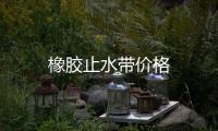 橡膠止水帶價格