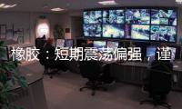 橡膠：短期震蕩偏強，謹防高位回落
