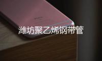 濰坊聚乙烯鋼帶管