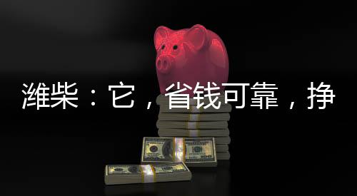 濰柴:它,省錢可靠,掙錢有一手!