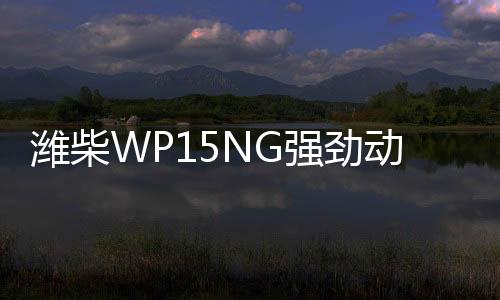濰柴WP15NG強勁動力,開啟向上人生!