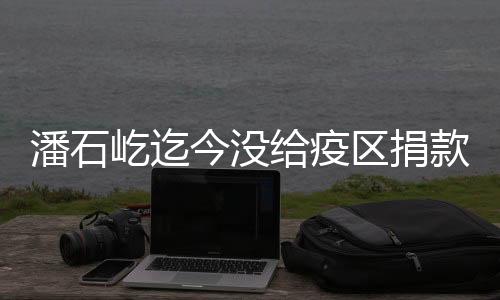 潘石屹迄今沒給疫區(qū)捐款但卻給美國(guó)兩個(gè)大學(xué)捐過2000多萬美元