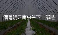 潘粵明云南蟲谷下一部是什么（云南蟲谷下一部是什么）