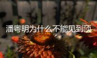 潘粵明為什么不能見到頂頂？連續幾年為兒子網絡慶生