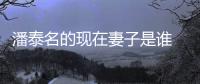 潘泰名的現在妻子是誰 他被稱為是年代版的高富帥