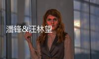 潘鋒&汪林望AEM：機(jī)器學(xué)習(xí)助力鋰金屬負(fù)極生長(zhǎng)機(jī)制研究 – 材料牛