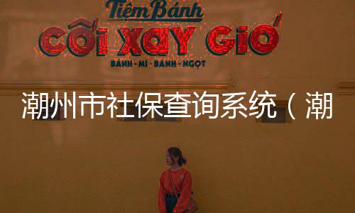 潮州市社保查詢系統（潮州市社保局官網）