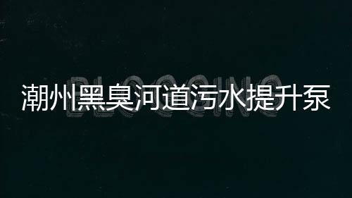 潮州黑臭河道污水提升泵站價(jià)格
