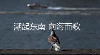 潮起東南 向海而歌