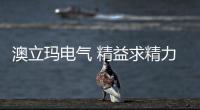 澳立瑪電氣 精益求精力創行業典范