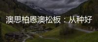 澳思柏恩澳松板：從種好一棵松木開始
