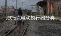 澳托克電動(dòng)執(zhí)行器分類
