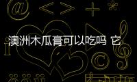 澳洲木瓜膏可以吃嗎 它畢竟還是一款護膚品