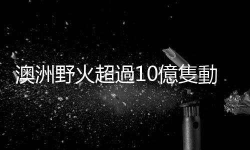 澳洲野火超過10億隻動物死亡、當局必須撲殺1萬隻駱駝，3區火勢恐再加劇