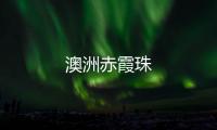 澳洲赤霞珠