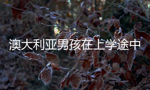 澳大利亞男孩在上學途中被閃電擊中 卻只是腳和肩膀上留有疤痕