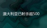 澳大利亞已射殺超5000頭駱駝，BBC：與山火無(wú)直接關(guān)系