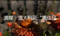澳媒：澳大利亞“原住民之聲”公投未獲通過