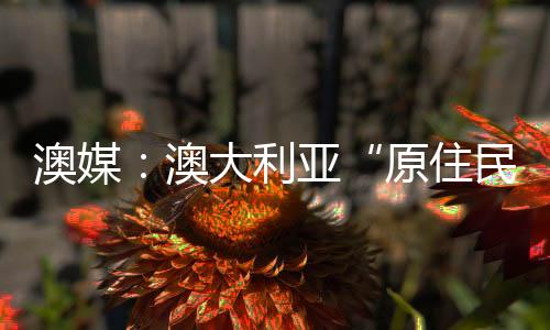 澳媒：澳大利亞“原住民之聲”公投未獲通過