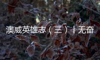 澳威英雄志（三）丨無奮斗不青春，致敬奔跑路上的門窗人！