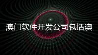 澳門軟件開發公司包括澳門軟件科技有限公司的具體內容
