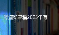 澤連斯基稱2025年有機會結束衝突　籲特朗普對俄施壓