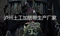 瀘州土工加筋帶生產(chǎn)廠家