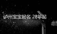 瀘州寶寶起名 28年起名經驗 國學起名新勢力