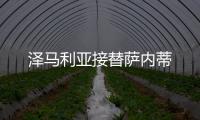 澤馬利亞接替薩內(nèi)蒂