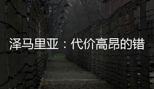 澤馬里亞：代價高昂的錯誤