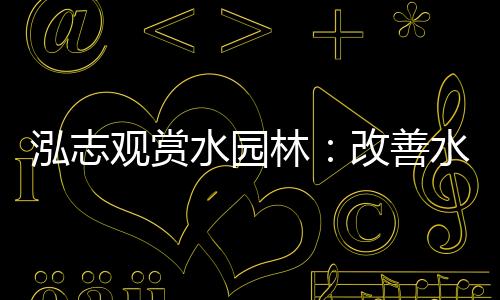 泓志觀賞水園林：改善水世界，讓生活充滿靈動色彩