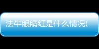 法牛眼睛紅是什么情況(法牛眼睛紅怎么回事?)