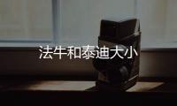 法牛和泰迪大小