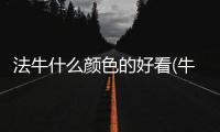 法牛什么顏色的好看(牛用什么顏色好看)