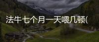 法牛七個月一天喂幾頓(法牛七個月幾斤才正常)