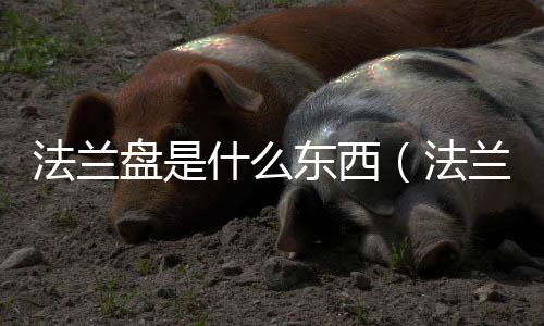 法蘭盤是什么東西（法蘭盤是什么材料做的）